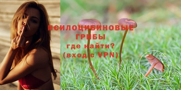 ALPHA PVP Алзамай