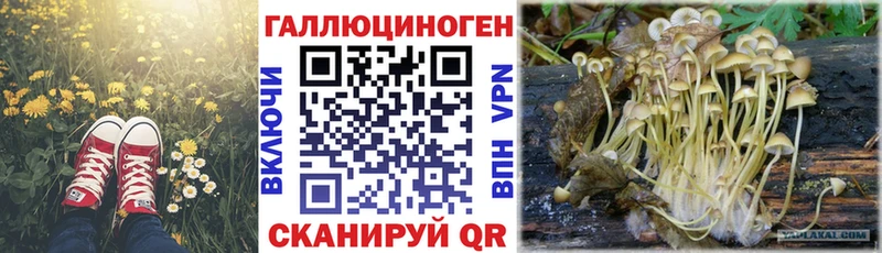 Галлюциногенные грибы GOLDEN TEACHER  Углич 