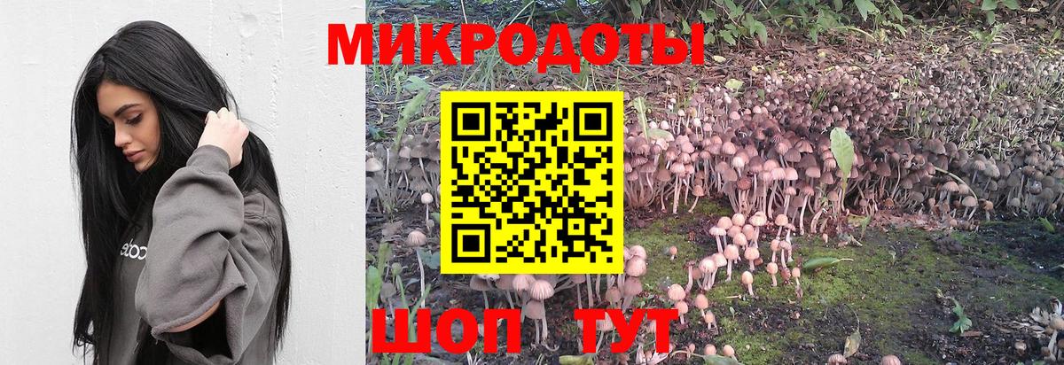 Псилоцибиновые грибы мухоморы Углич